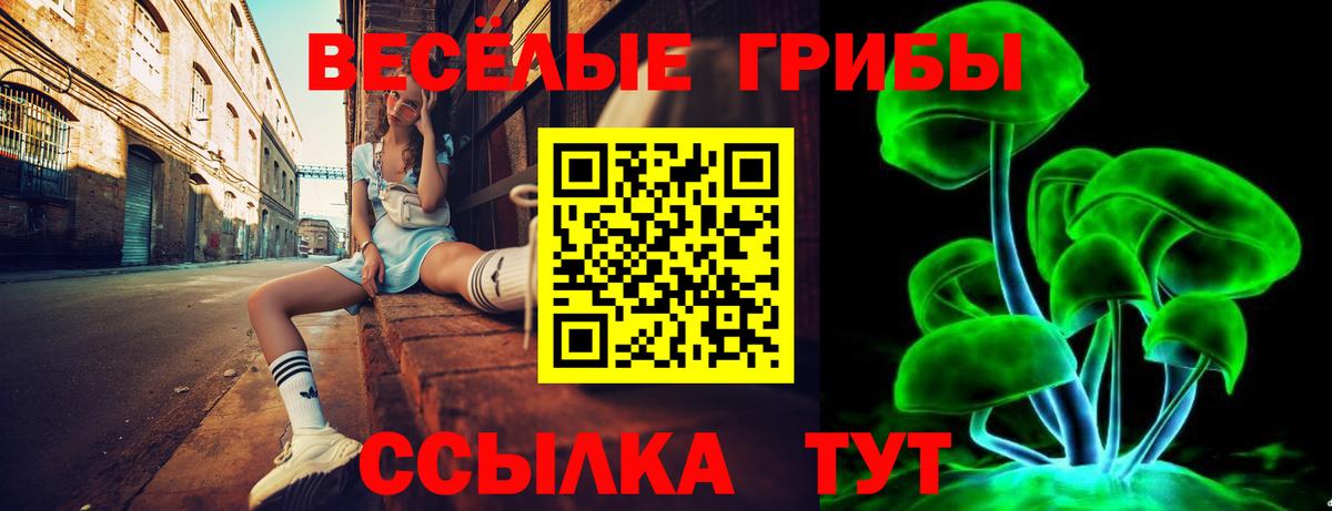 Галлюциногенные грибы Psilocybine cubensis Волгоград
