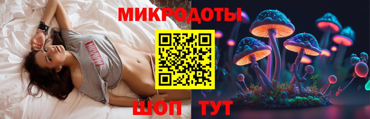Волгоград  Псилоцибиновые грибы Cubensis  Псилоцибиновые грибы Psilocybe  Вход с VPN 